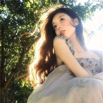 金装律师第八季